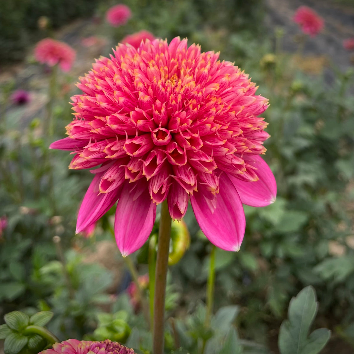 6EEFA870-A5BC-44A8-AC02-