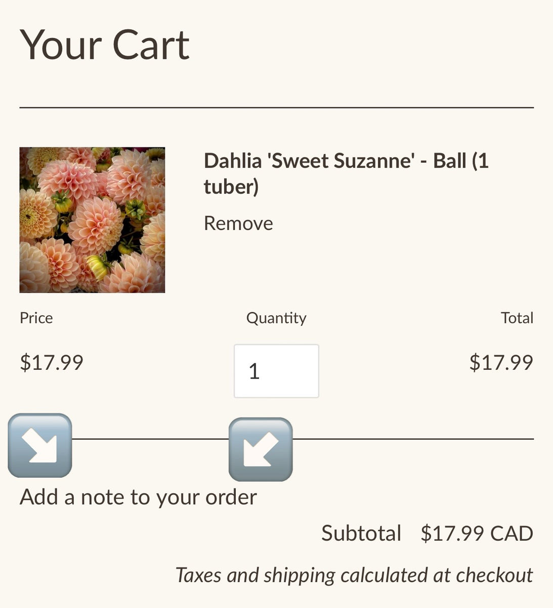 Combine Orders Lily's Garden Store