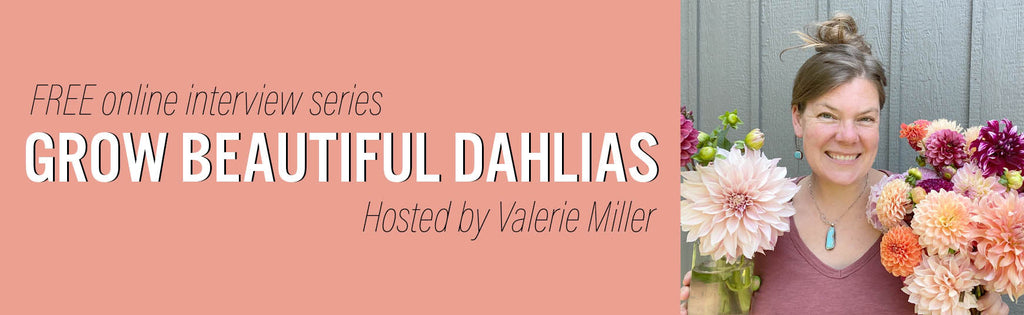 A Visual Podcast Episode with Valerie Miller for "Grow Beautiful Dahlias" series