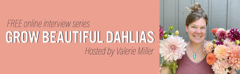 A Visual Podcast Episode with Valerie Miller for "Grow Beautiful Dahlias" series