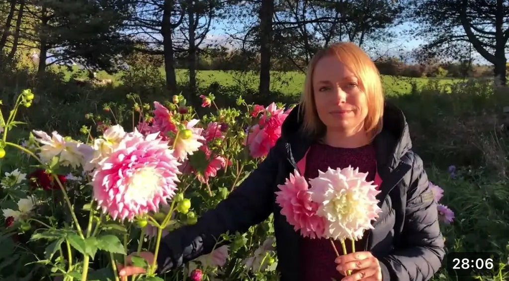 A Warm Welcome to our Flower Farm!