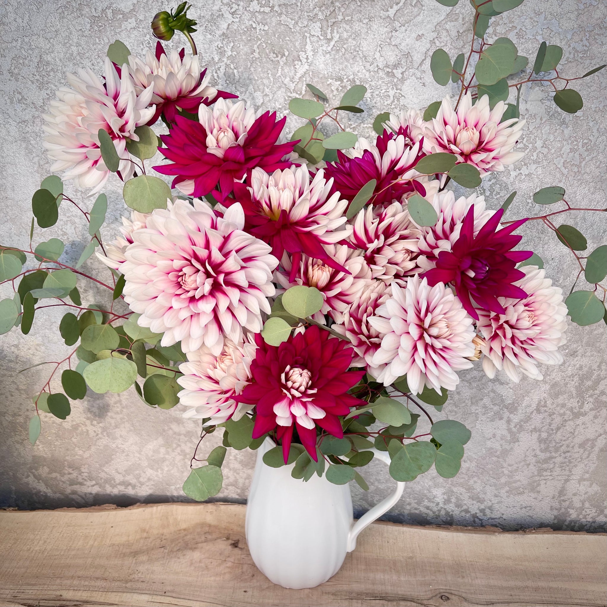 Dahlia Rebecca’s Wold buy tubers online