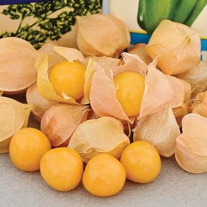 Tomatillo 'Aunt Molly's Ground Cherry' (20 seeds)