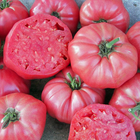 Tomato 'Brandywine' Heirloom (25 seeds)