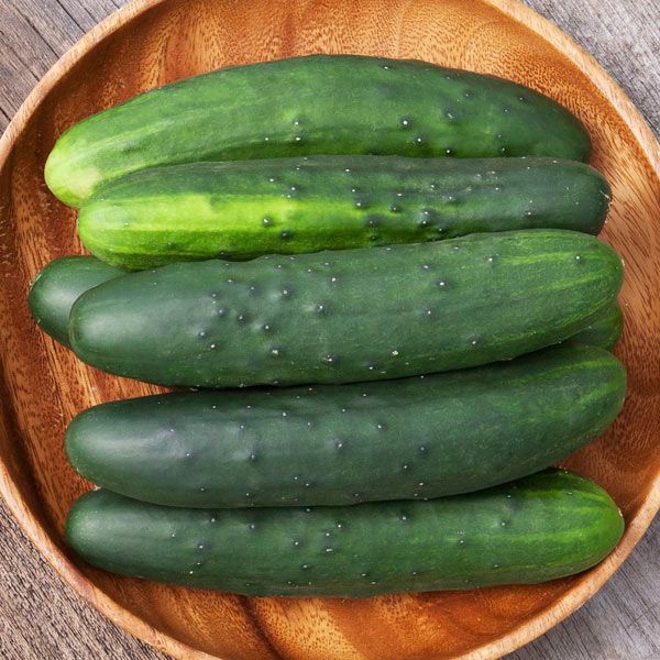 Cucumber 'Marketmore 76' Organic Heirloom (20 seeds)