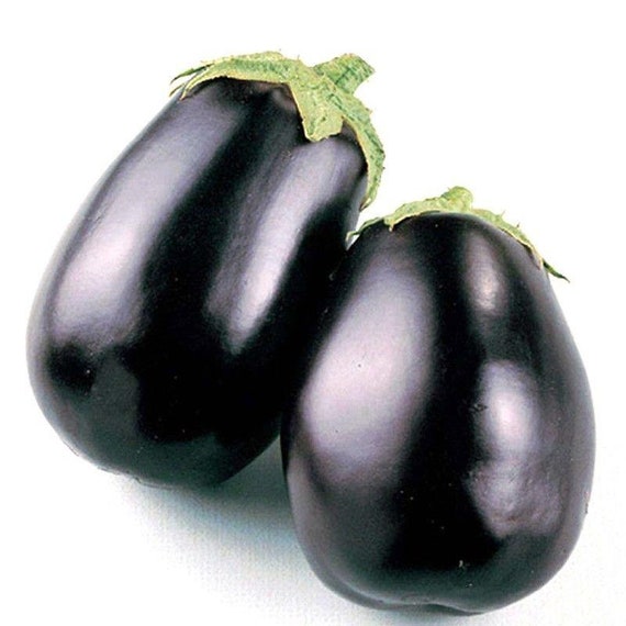 Eggplant Black King Hybrid (10 seeds)