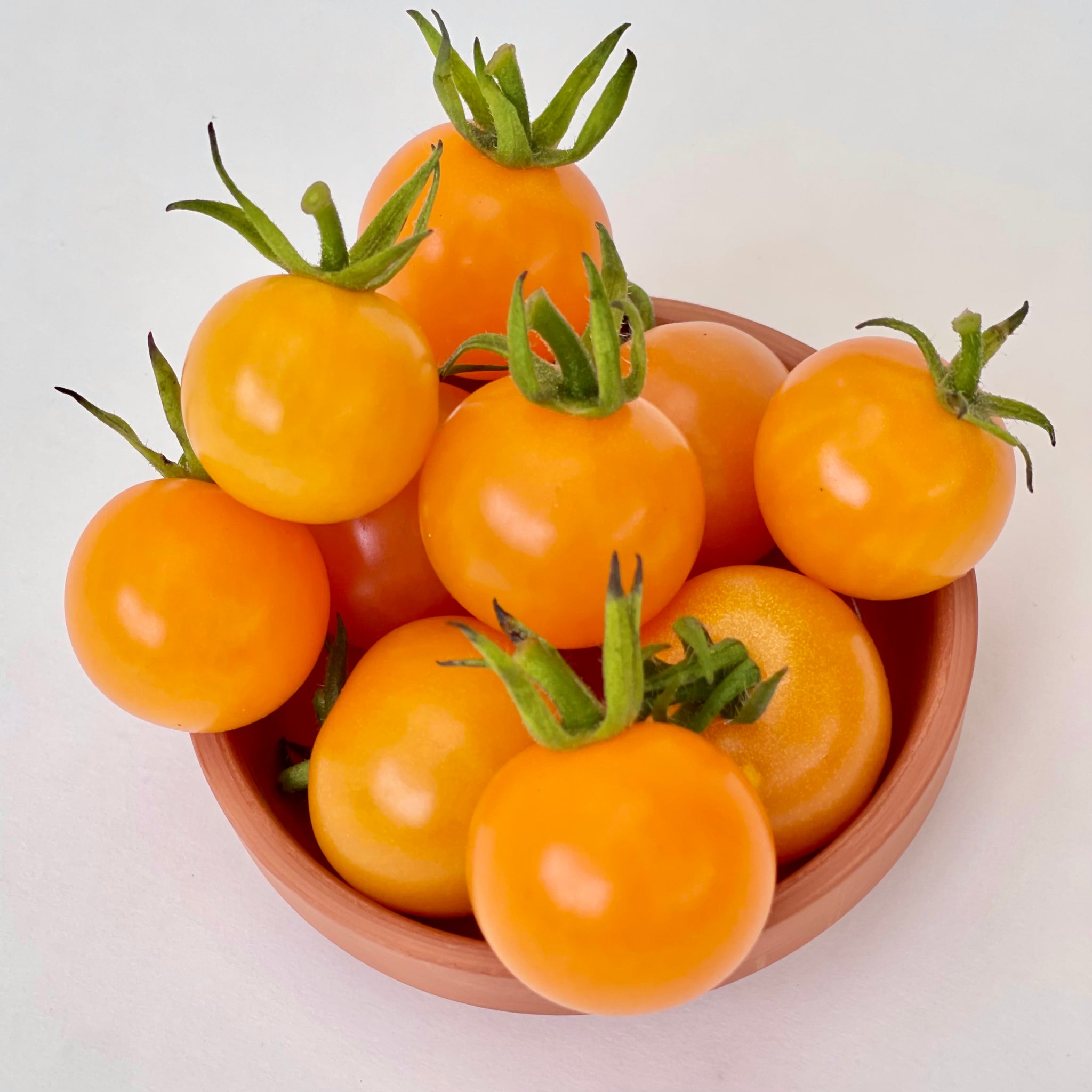 Tomato 'Ambrosia Gold' Cherry Heirloom (1 seedling)
