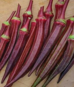 Okra 'Red Burgundy' Heirloom (25 seeds)