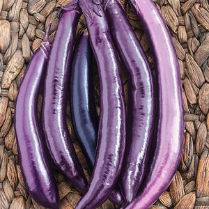 Eggplant Ping Tung Long (20 seeds)