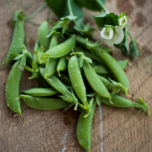Snap Peas 'Cascadia' Heirloom - Dwarf (15 seeds)