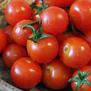 Tomato 'Sweetie Cherry' Heirloom (25 seeds)