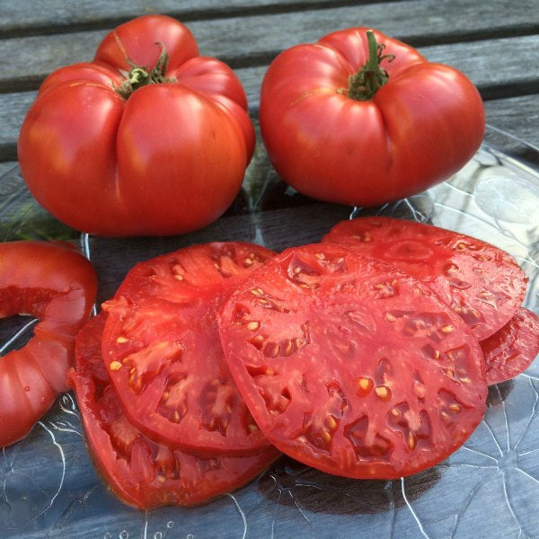 Beefsteak tomato varieties (indeterminate variety, beefsteak tomato, flavor indeterminate, flavor indeterminate variety, beefsteak tomatoes) Beefsteak tomato varieties