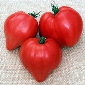 Tomato 'Oxheart' Heirloom (25 seeds)